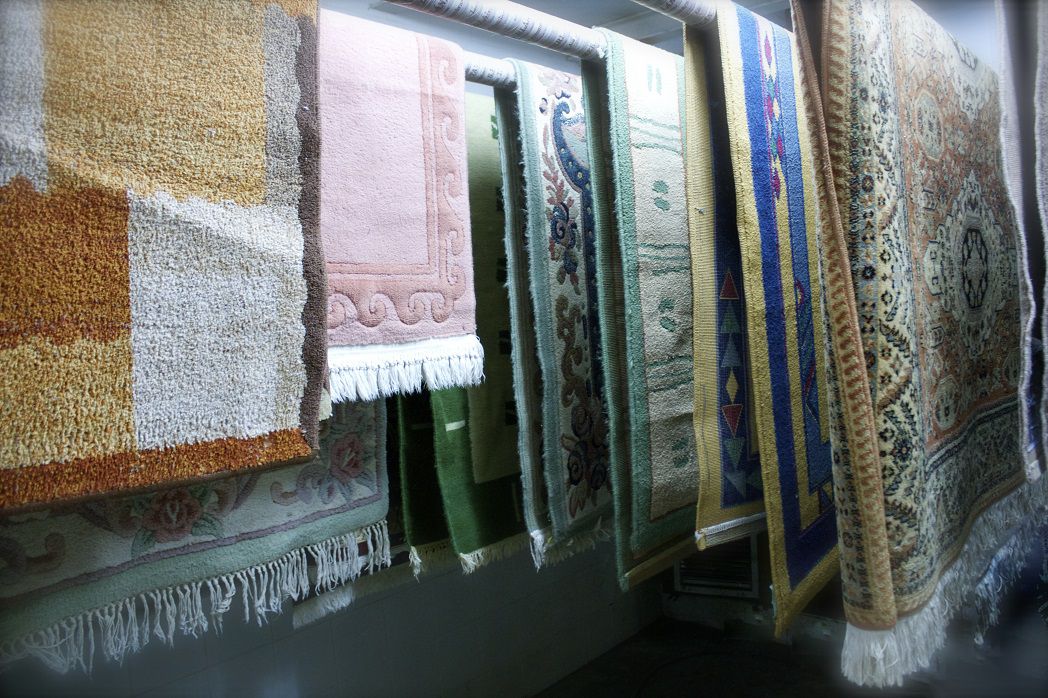 Texto de Odoo y bloque de imagen